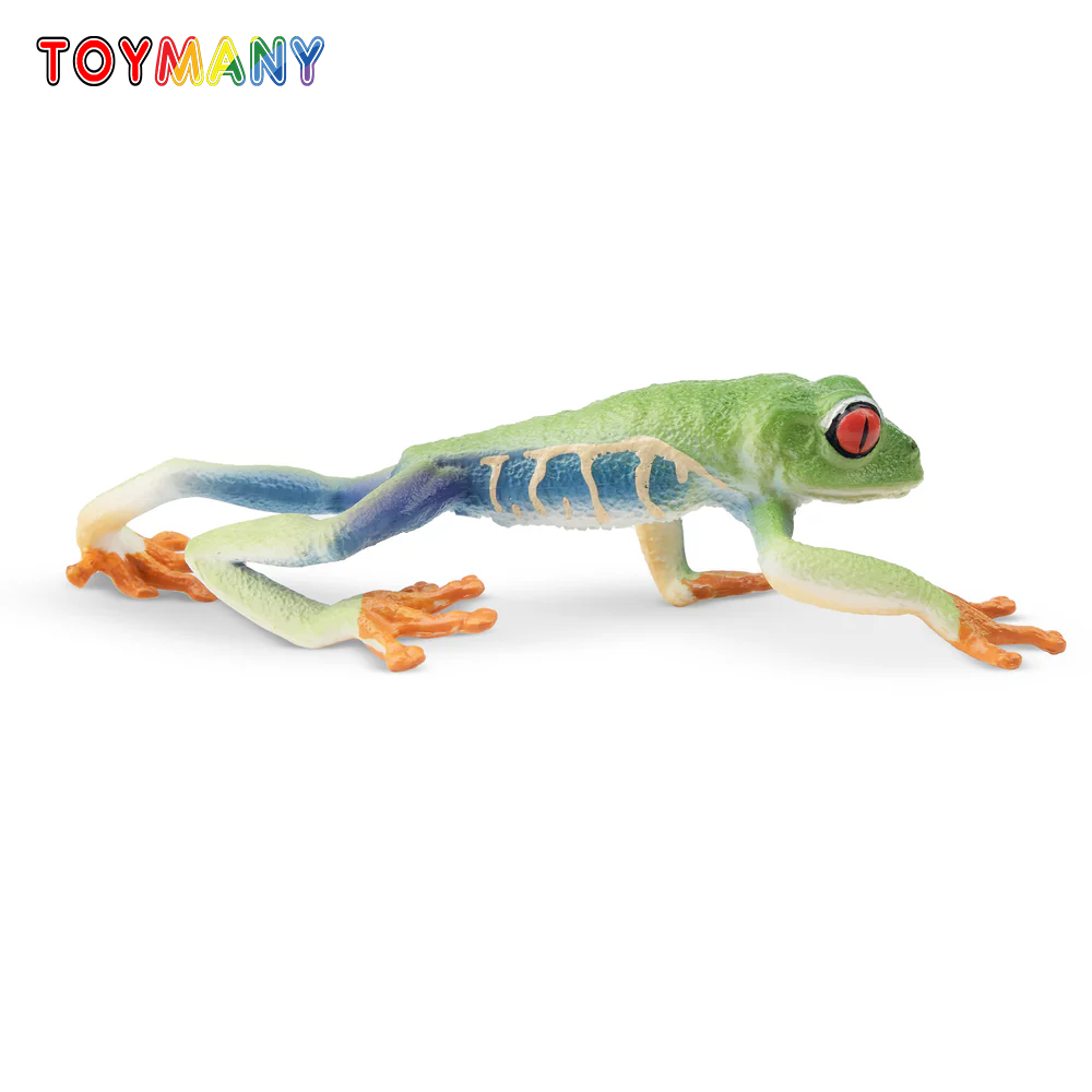 Art Craft Eyes - 子供のための赤い目の木のおもちゃ,シミュレーションゲーム,カエル,爬虫類,レルアニマルモデル,ミニフィギュア,人形,アクションフィギュア,ギフト