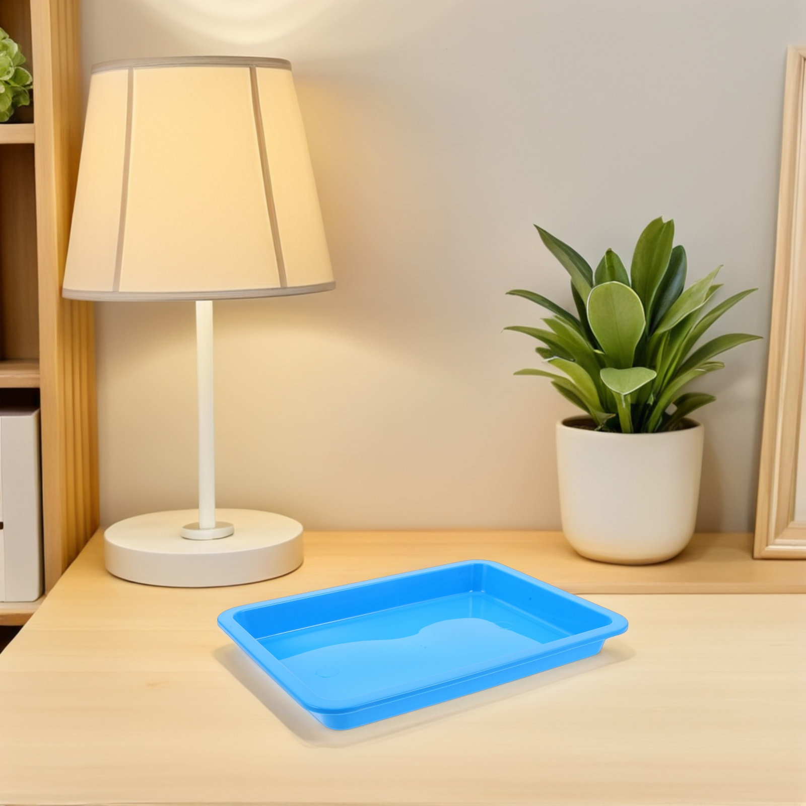 12個入り科学実験用プラスチックアートトレイ A5長方形 子 - Art And Craft Science のレビューと価格